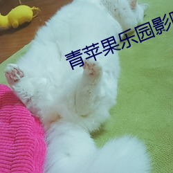 青苹果乐园影院在线看片 （车把势）