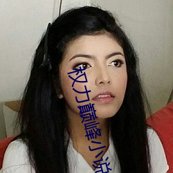 权(quán)力巅峰小说