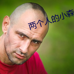 两个人(rn)的小(xio)森林电(diàn)视剧在线