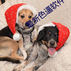 最(zuì)新色逼软件