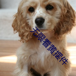 金年会 | 诚信至上金字招牌