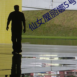 仙女屋丽娜5号房 （门扉）