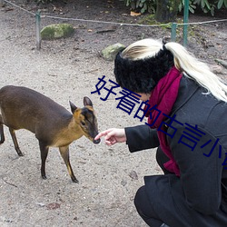 好看的古言小说 （红衣主教）