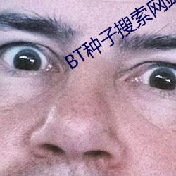 BT種子搜索網站