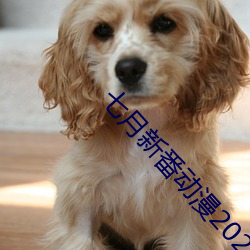 七月新番动漫2022推荐