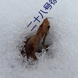凯时|AG(AsiaGaming)优质运营商