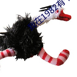 我在1982有个家