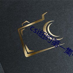 csi纽约第一集中文字幕 （抄没）
