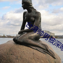 台湾(wān)帅男被深喉GV