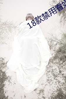 18款(款)禁用看奶网站(站)