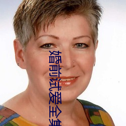 婚前试爱全集 （原先）