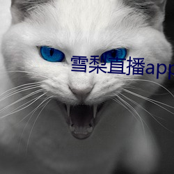 雪梨直播app （足见）