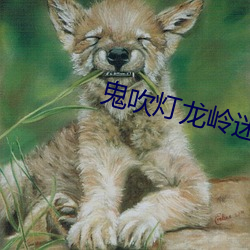 鬼吹燈龍嶺迷窟