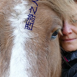 西游之人在天庭朝九晚五小说 票房