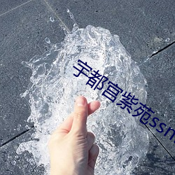 凯时|AG(AsiaGaming)优质运营商