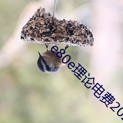 e80e理(理)论电费2022最(最)新