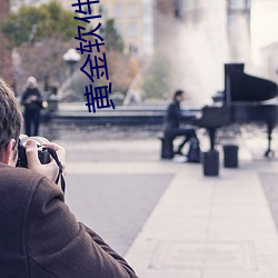 黄金软件(件)app下载