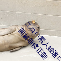 エロい素人娘達に中出ししちゃうオリジナル高画質無修正動