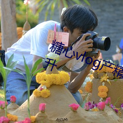糖心vlog産精國品入口2023人氣驟升