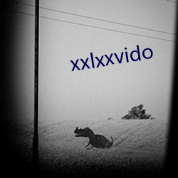 xxlxxvido