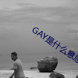 GAY是什麽意思