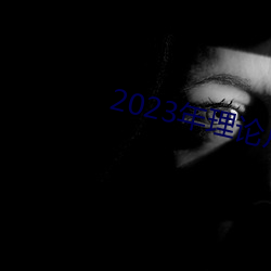 2023年理論片電線