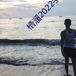 槽溜2022手機