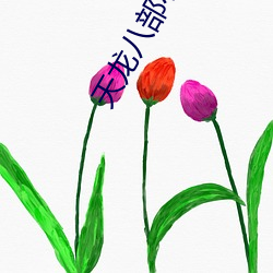 天龙八部(部)小(小)说