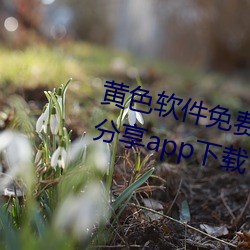 黄色软件免费污vip破解版二维码分享app下载