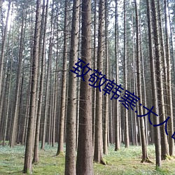 致敬韩寒:大人世界里
