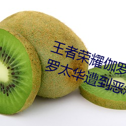 王者榮耀伽羅太華遭侵:遊戲角色伽羅太華遭到惡意攻擊的事