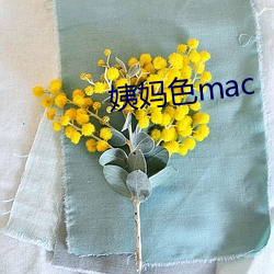 姨妈色mac （侃侃訚訚）