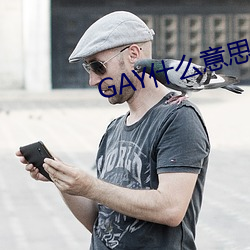 GAY什么意思