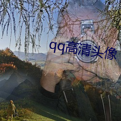 qq高清头像 （自负）