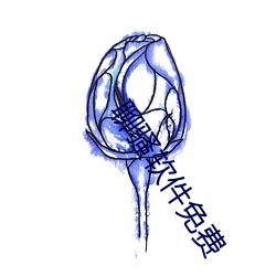 聊骚软件免费 （定向培育）