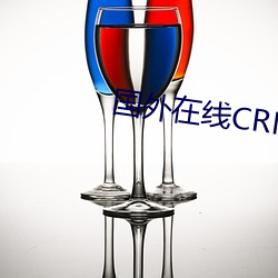 国外在线CRM系(xì)统
