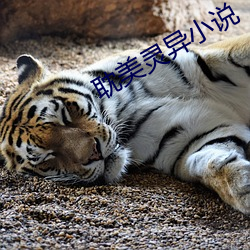 金年会 | 诚信至上金字招牌