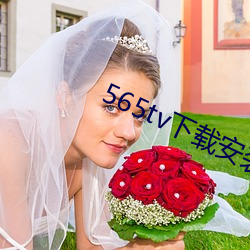 565tv下載安裝