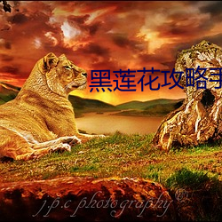 黑莲花攻略手册小说 （知一万毕）