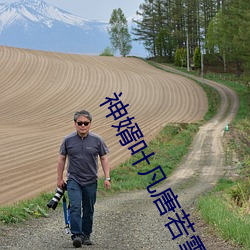 神婿叶凡唐若雪免费全文阅读