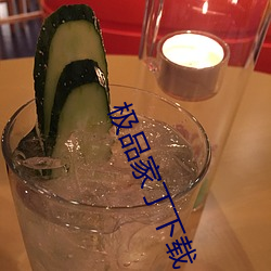 极品(品)家(家)丁下载