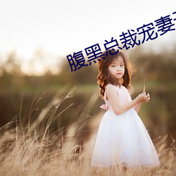 腹黑总裁宠妻无度 （平行作业）