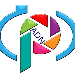 ADN （基因）