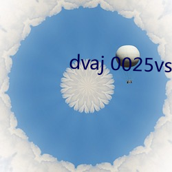dvaj 0025vs黑人葵司