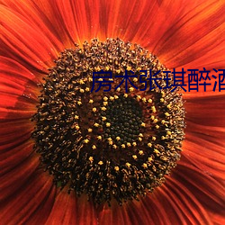 房術張琪醉酒