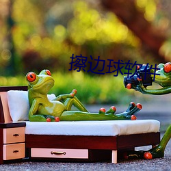 擦(cā)边球软件