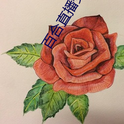 百合直播安装