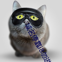域名停靠i8勿进