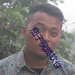 茄子視頻軟件
