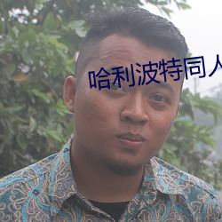 哈利波特同人小说